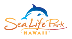 Aloha Council - 2019 Oahu Fall CUBoree
