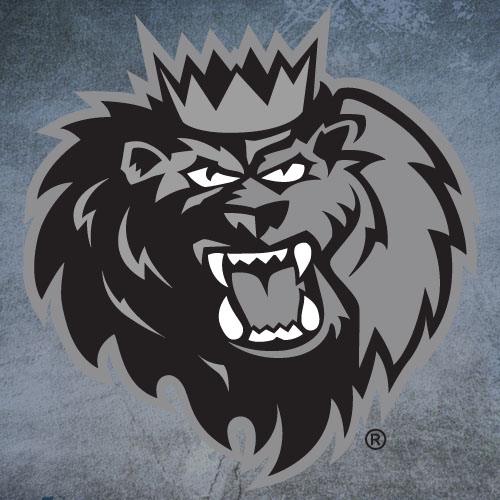 Pine Tree Council - Hockey Night with the Manchester Monarchs