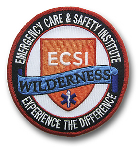 Wilderness First Aid Patch