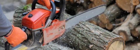 Sequoyah Council - Chainsaw Basic Training