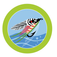 Greater Saint Louis Area Council - 2020 Fly Fishing Merit Badge