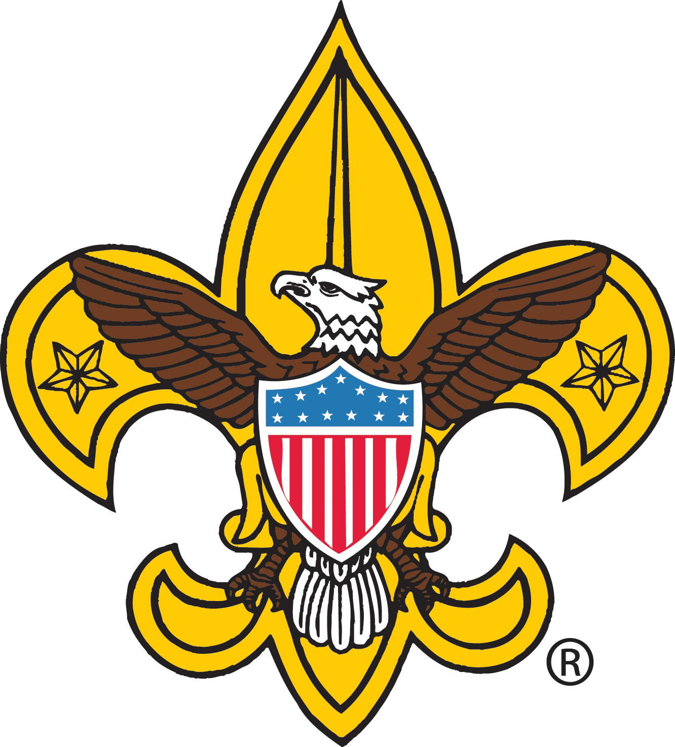 Boy Scout Council Software, Boy Scout Camp Software